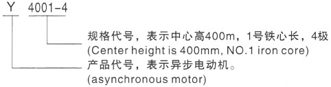 西安泰富西玛Y系列(H355-1000)高压YJTG-802-4A/0.75KW三相异步电机型号说明